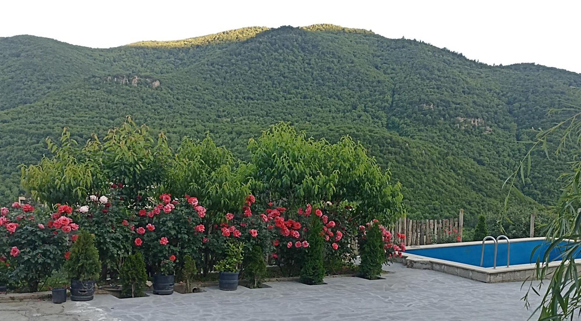 Green Garden Կանաչ Այգի Ijevan Exterior foto