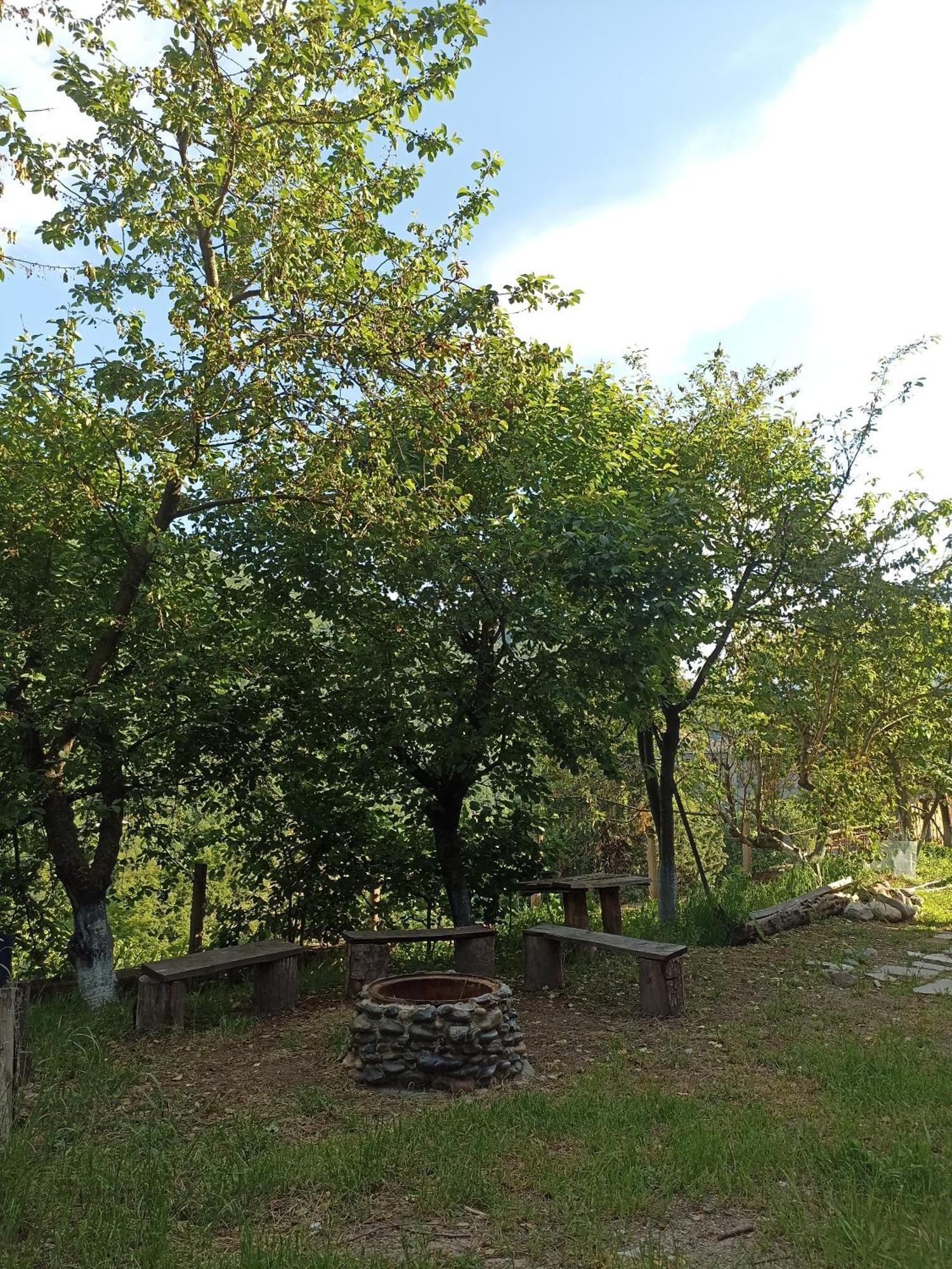 Green Garden Կանաչ Այգի Ijevan Exterior foto