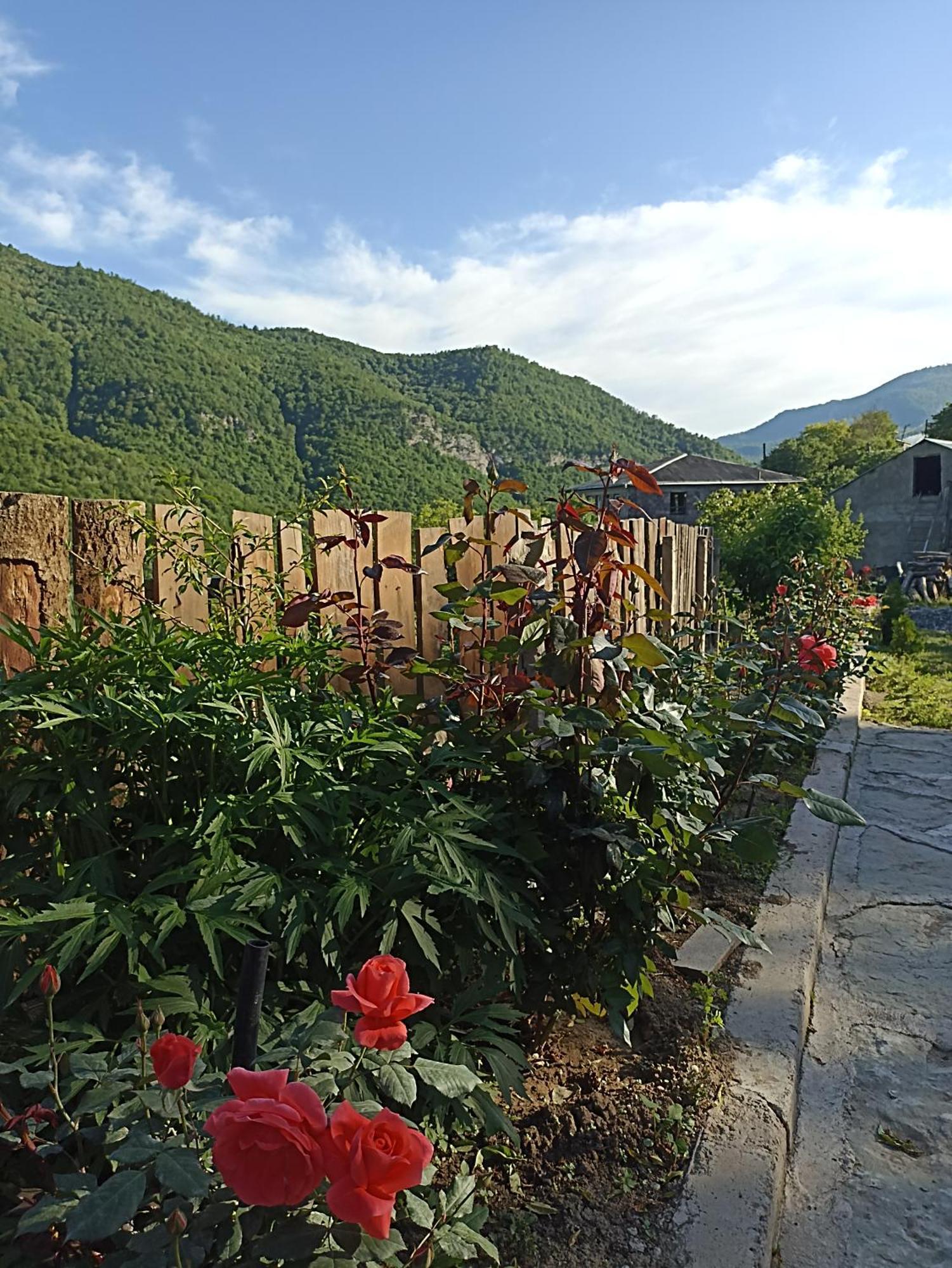 Green Garden Կանաչ Այգի Ijevan Exterior foto