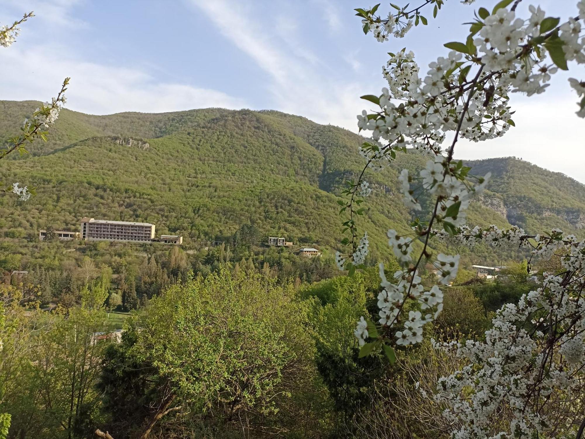 Green Garden Կանաչ Այգի Ijevan Cameră foto